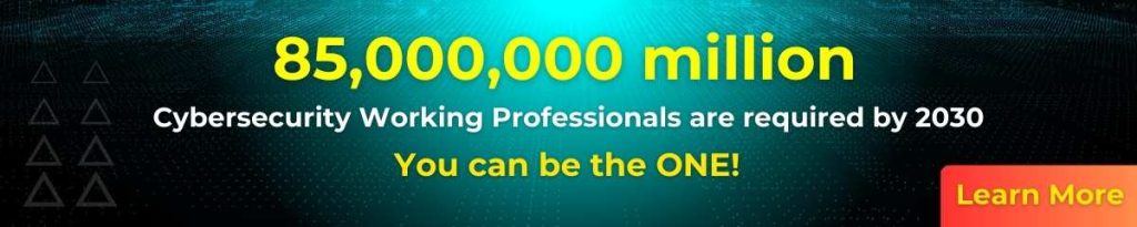 cybersecurity working professionals are required by 2030 by cybersapiens