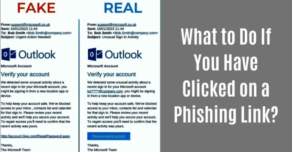 what to do if you have clicked on a phishing link
