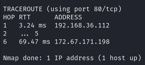 nmap traceroute results showing the network path and topology between the scanning system and the target