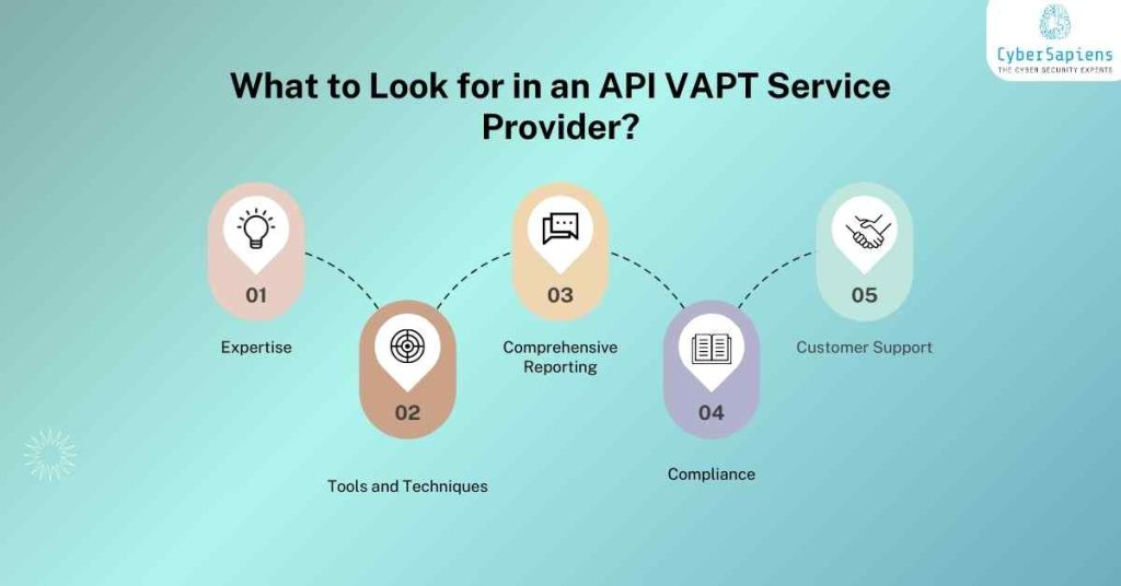 what to look for in an api vapt service provider