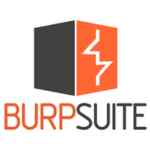 burp suite api vapt tool