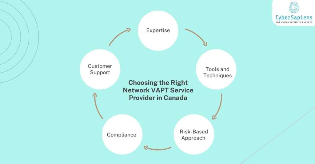 choosing the right network vapt service provider in canada