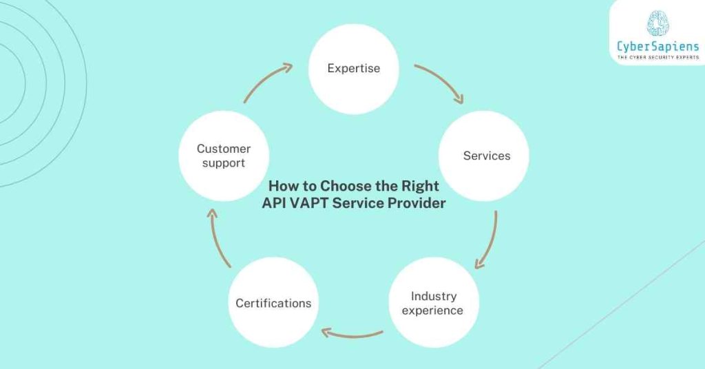 how to choose the right api vapt service provider