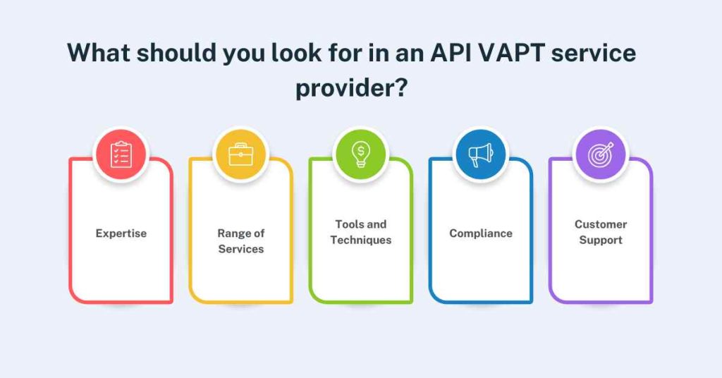 what should you look for in an api vapt service provider