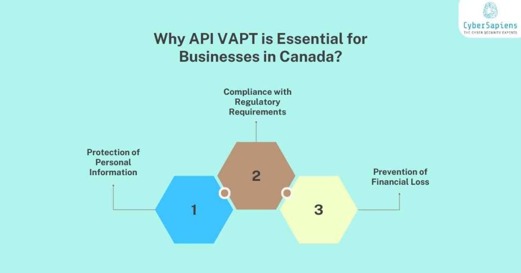 why api vapt is essential for businesses in canada