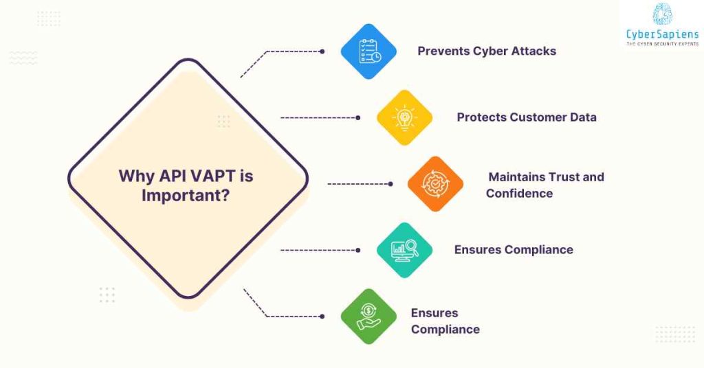 why api vapt is important