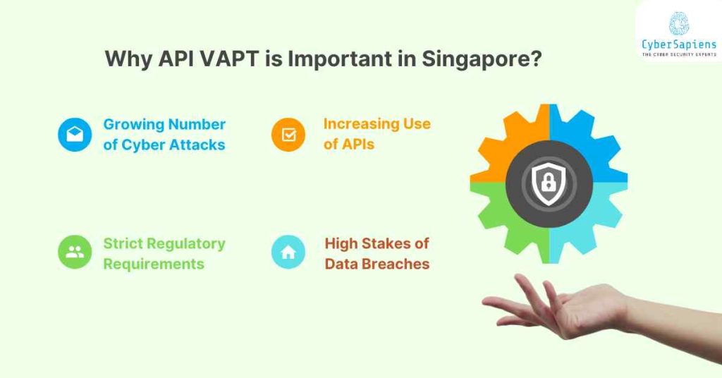 why api vapt is important in singapore