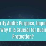 it security audit