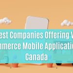 top 7 best companies offering vapt for e-commerce mobile applications in canada