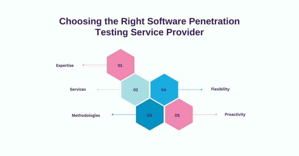 choosing the right software penetration testing service provider
