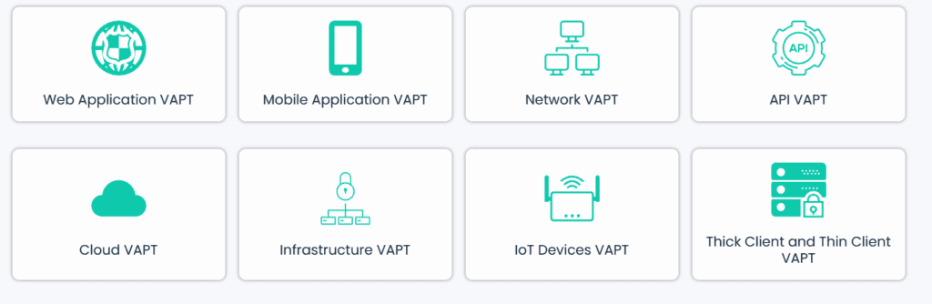 cybersapiens penetration testing services