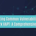 detecting common vulnerabilities in network vapt