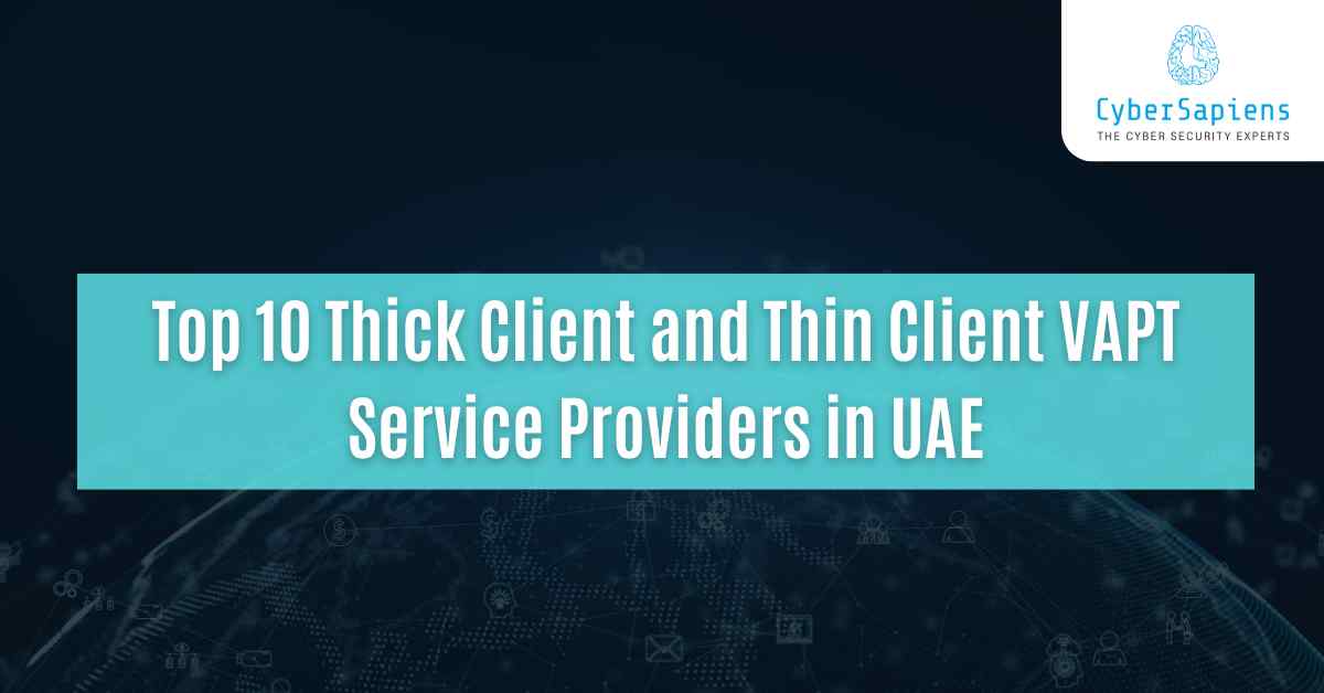 top 10 thick client and thin client vapt service providers in uae