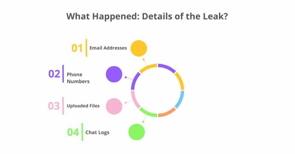 what happened details of the Leak