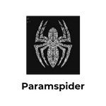 paramspider