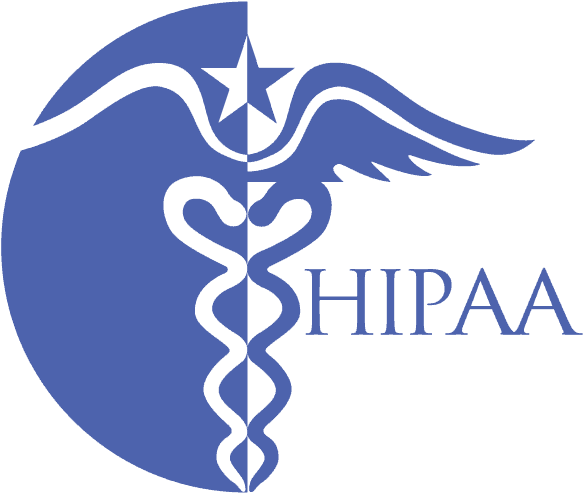 HIPAA security audit service