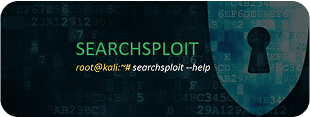 searchsploitTools