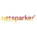 netsparker-api-security-testing-tool.jpg