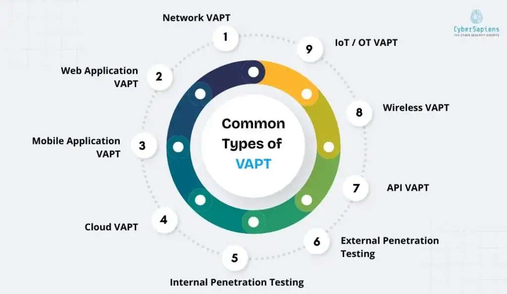 types of VAPT